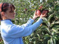 Konkurs za dodelu stipendija Studentima I godine poljoprivrede/agronomije za školsku 2024/2025. godinu