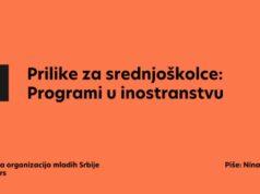 Prilike za srednjoškolce: Programi u inostranstvu